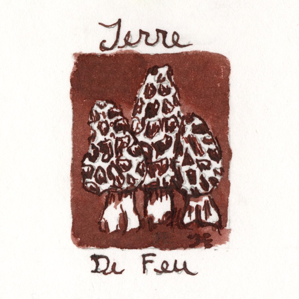J.Herbin 10ml Fountain Pen Ink Terre De Feu